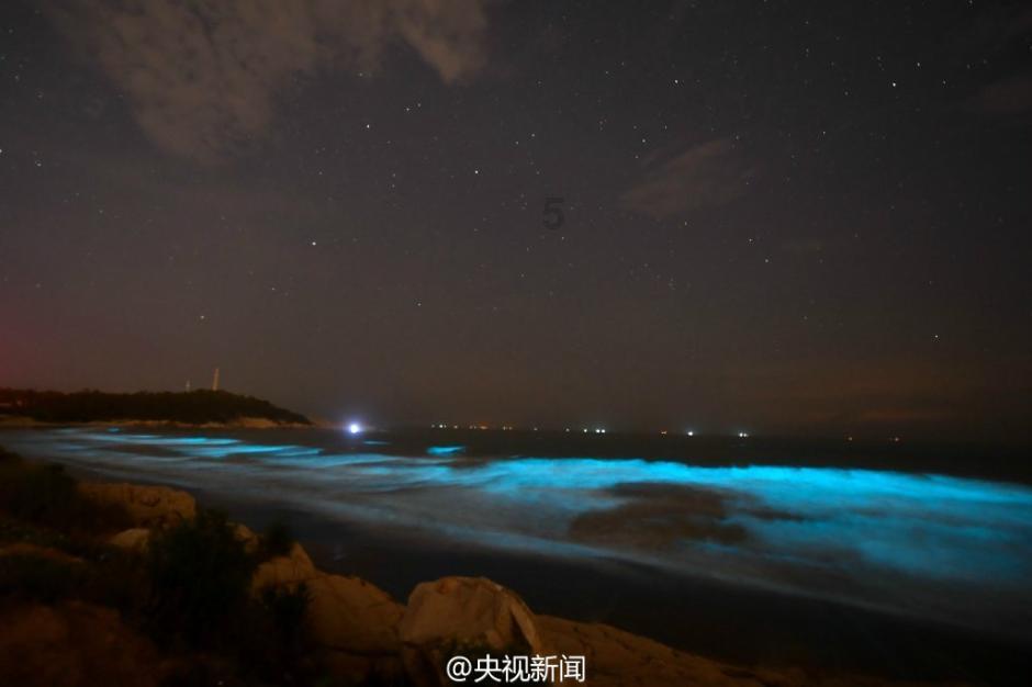 春节假期,安全提示请收好