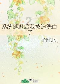 鄄城县计生协会召开工作会议