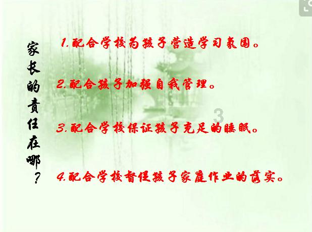 金牌保镖熊先生