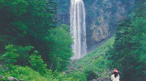 小红帽的冒险之旅