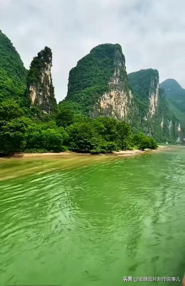 亲爱的金主大人